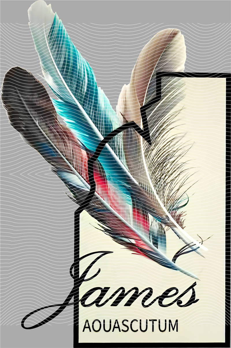 latest edition-KNY 802